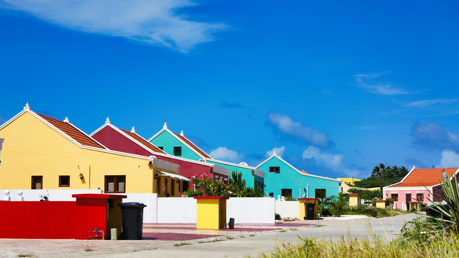 Vakantiewoning met zwembad en palmbomen op Aruba
